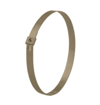 BAND-IT TIE-LOK TIE - 304SS - 1/4" X 0.015" X 10.0"