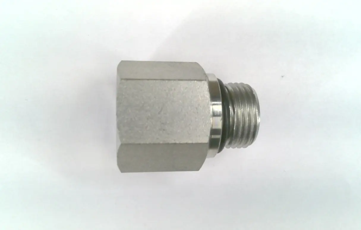 MORB X FORB  STR