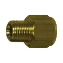 02-02 BRASS MALE NPT X FEMALE BSPT