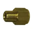 06-06 BRASS MALE NPT X FEMALE BSPT