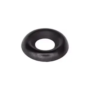 10 BLACK TRIM WASH