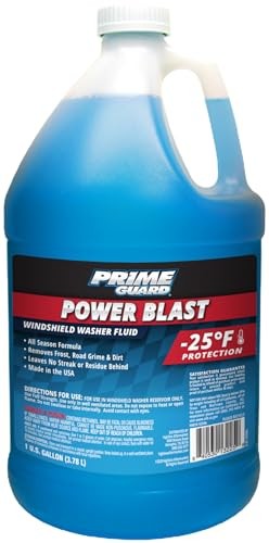 -20 WINDSHIELD WASHER FLUID 1 GAL