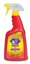 MIST-N-SHINE 22 OZ