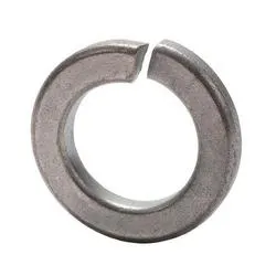 10 SS LOCKWASHER