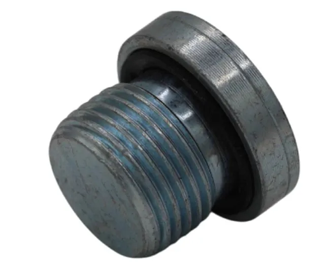 12 BSPP HOLLOW HEX PLUG