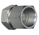 6MM MLDIN 2FBSPP W/ NUT AND RING