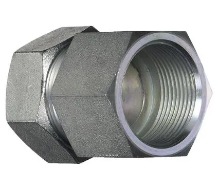 6MM MLDIN 2FBSPP W/ NUT AND RING
