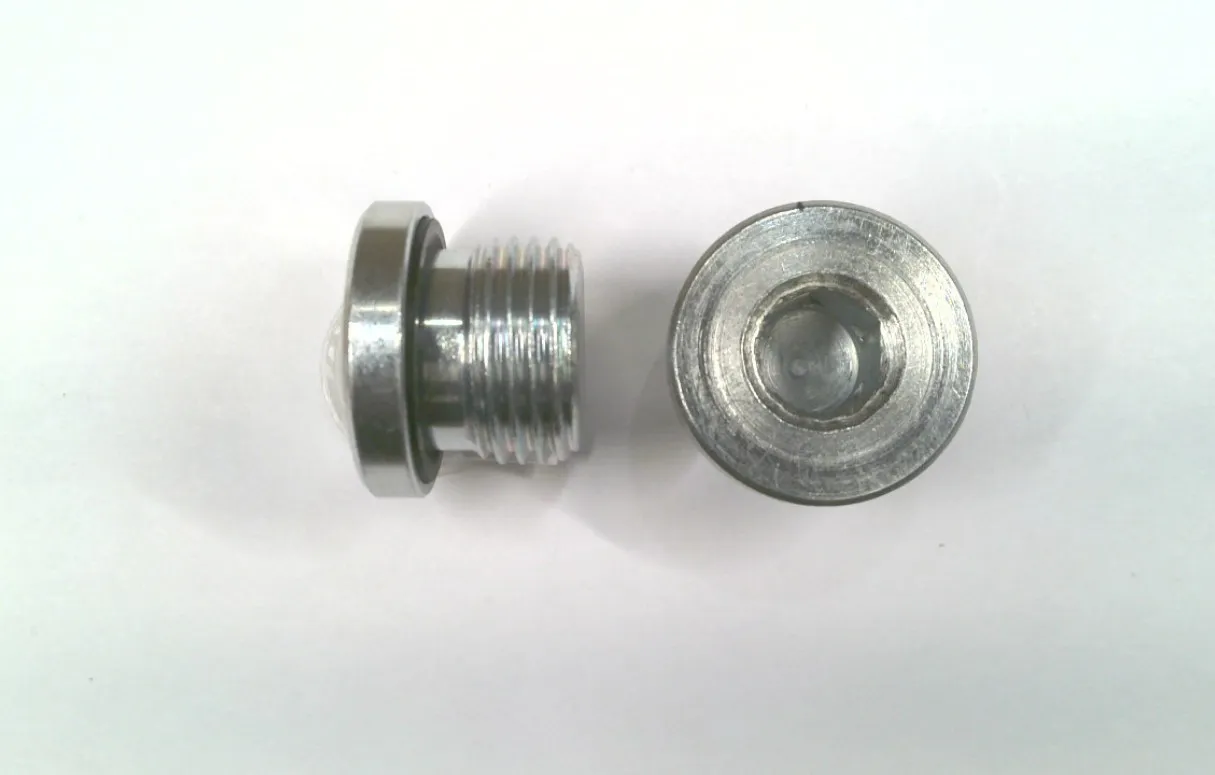 8 BSPP HOLLOW HEX PLUG