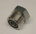 12 ORS PLUG